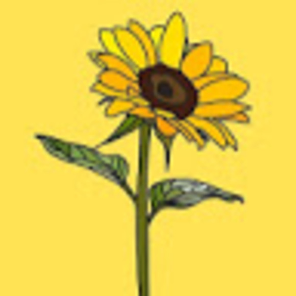 Meet your Posher, Dounya - Picture 1 of 1